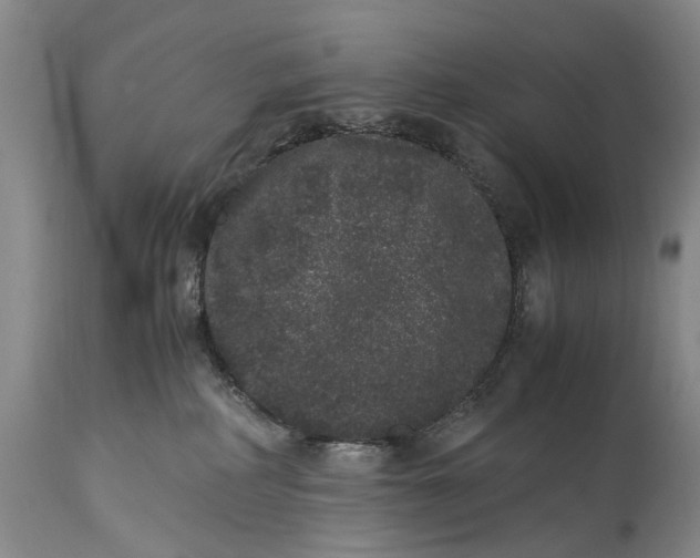 X0000115340234200911161839