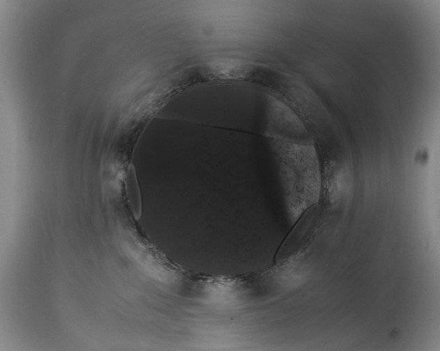 X0000115340235200911161839