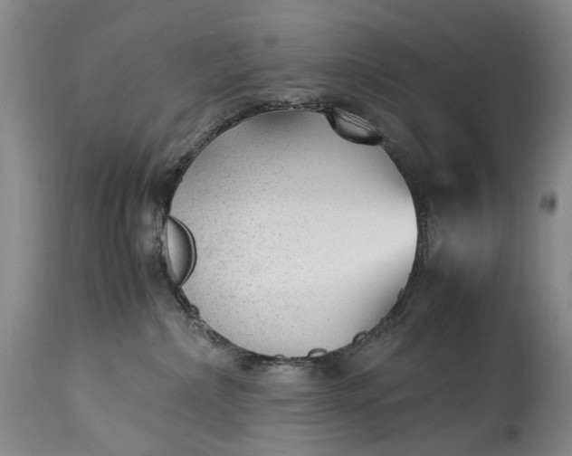 X0000115340236200911161839