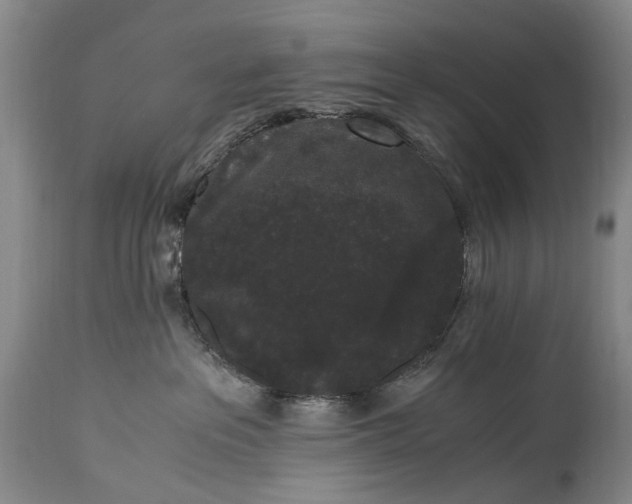 X0000115340237200911161839