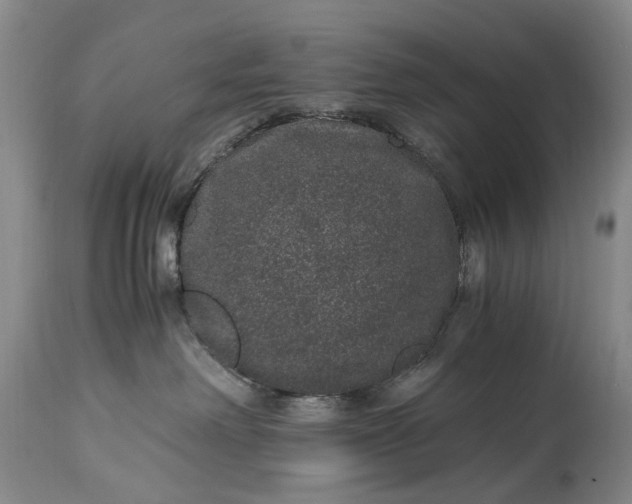 X0000115340238200911161839