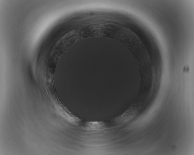 X0000115340239200911161839
