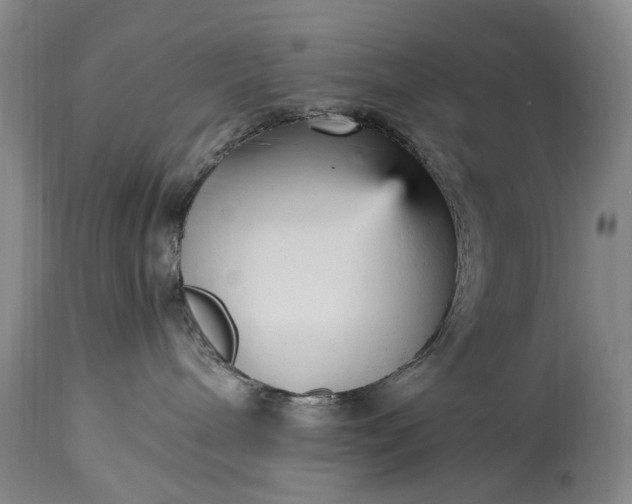 X0000115340240200911161839