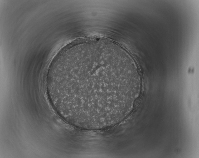 X0000115340241200911161839
