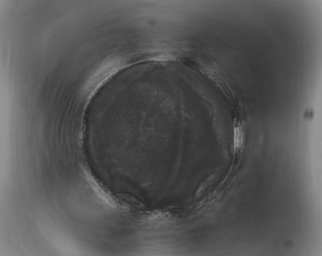 X0000115340243200911161839