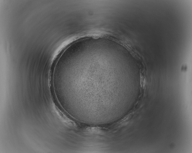 X0000115340244200911161839
