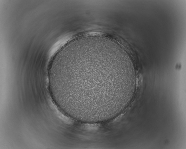 X0000115340245200911161839