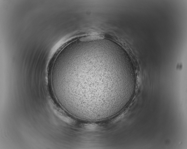 X0000115340246200911161839