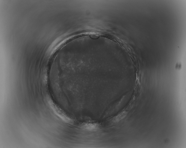 X0000115340247200911161839