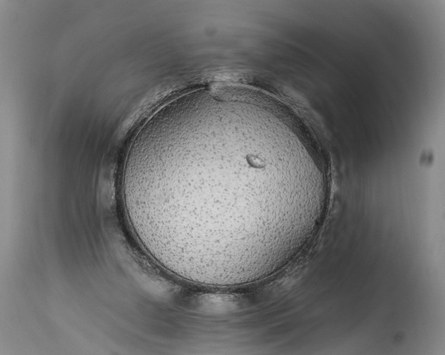 X0000115340250200911161839