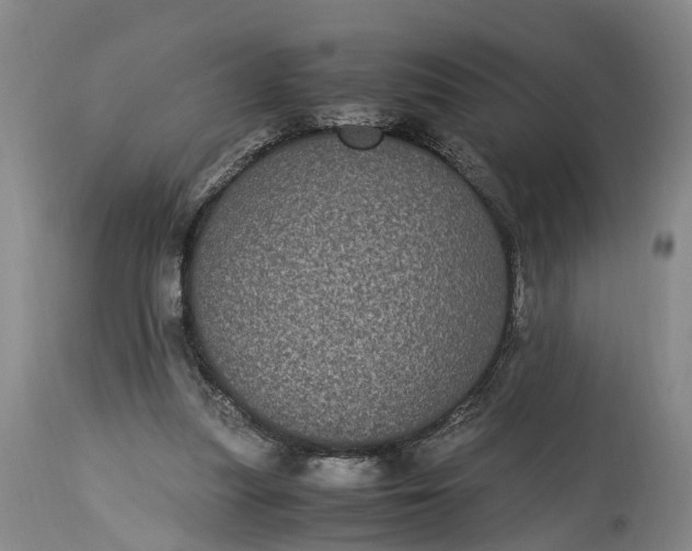 X0000115340251200911161839