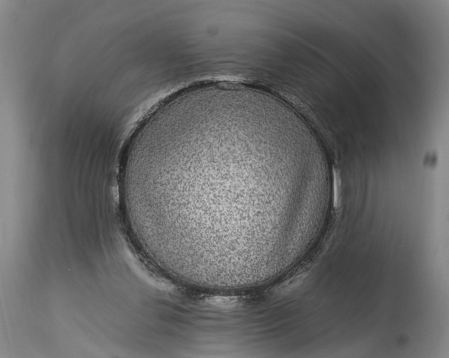 X0000115340252200911161839