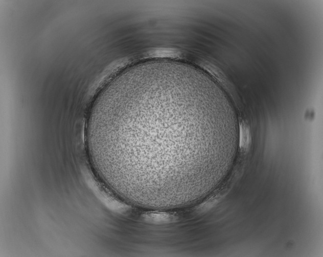 X0000115340253200911161839