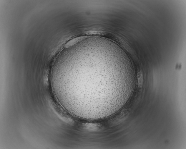 X0000115340255200911161839