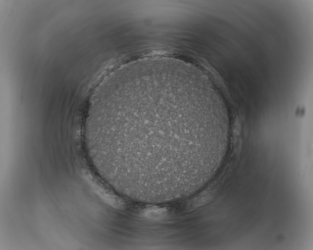 X0000115340257200911161839