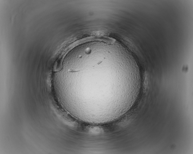 X0000115340258200911161839