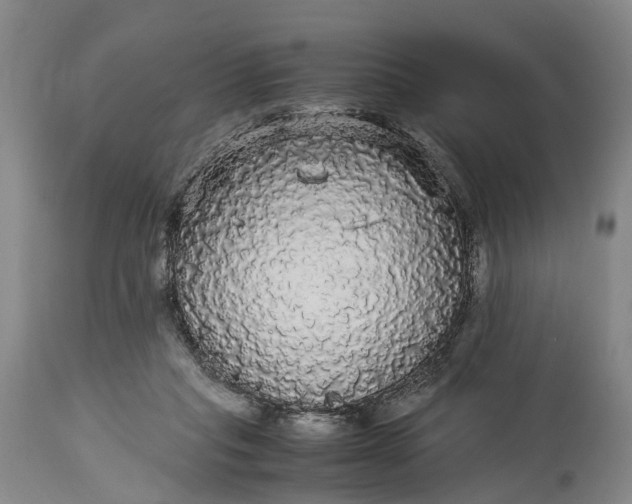 X0000115340261200911161839