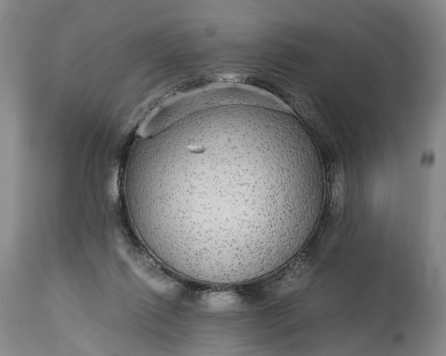 X0000115340262200911161839