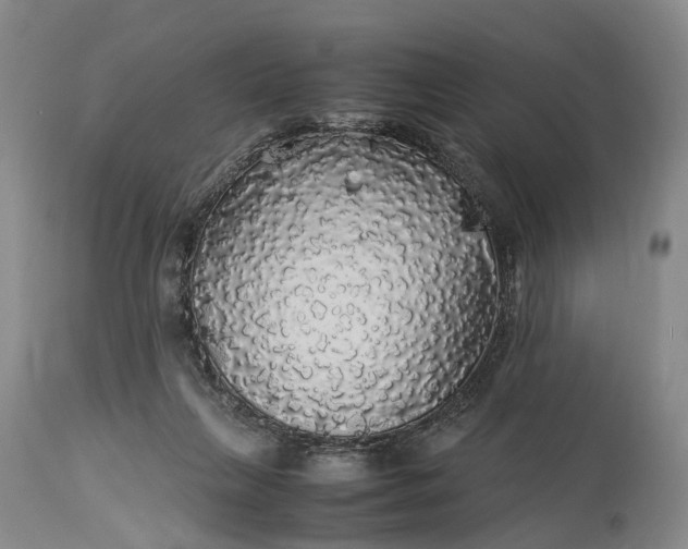 X0000115340263200911161839
