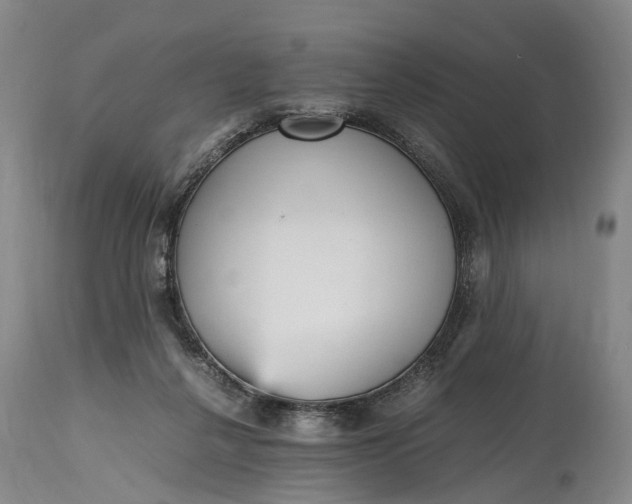 X0000115340264200911161839