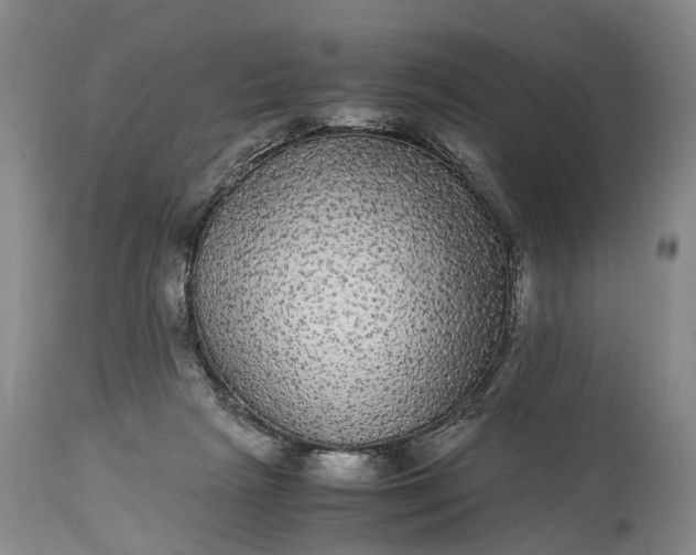 X0000115340265200911161839