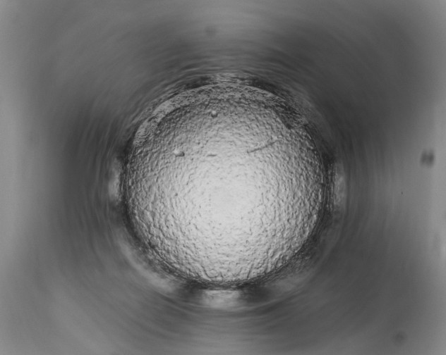 X0000115340266200911161839