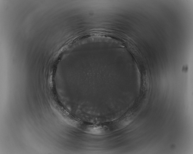 X0000115340267200911161839