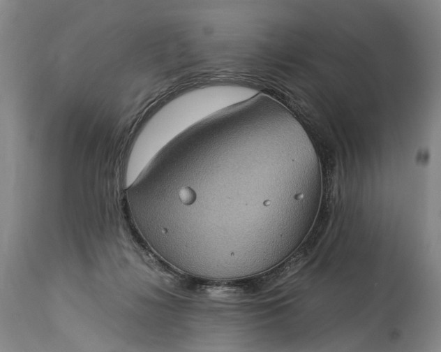 X0000115340268200911161839