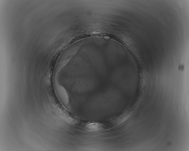 X0000115340269200911161839