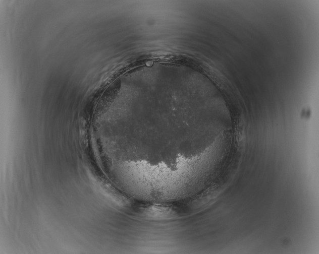 X0000115340270200911161839