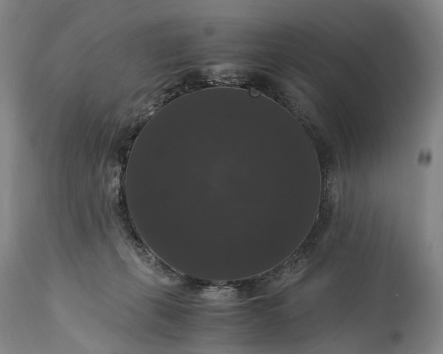 X0000115340271200911161839