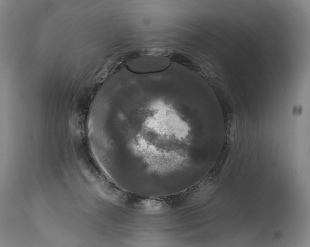 X0000115340272200911161839