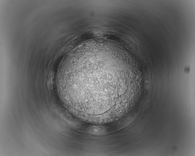 X0000115340275200911161839