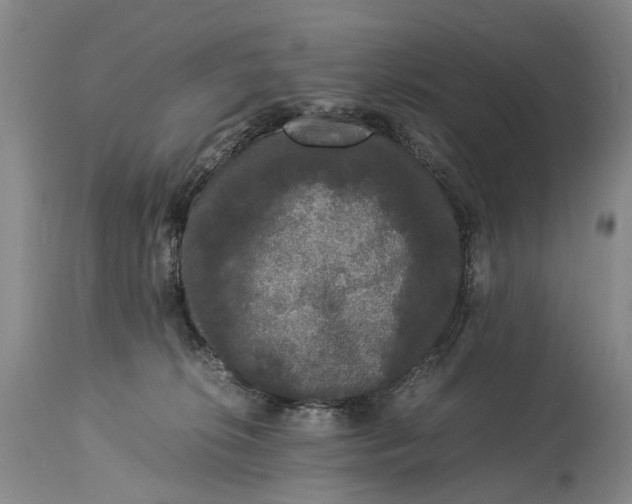 X0000115340276200911161839