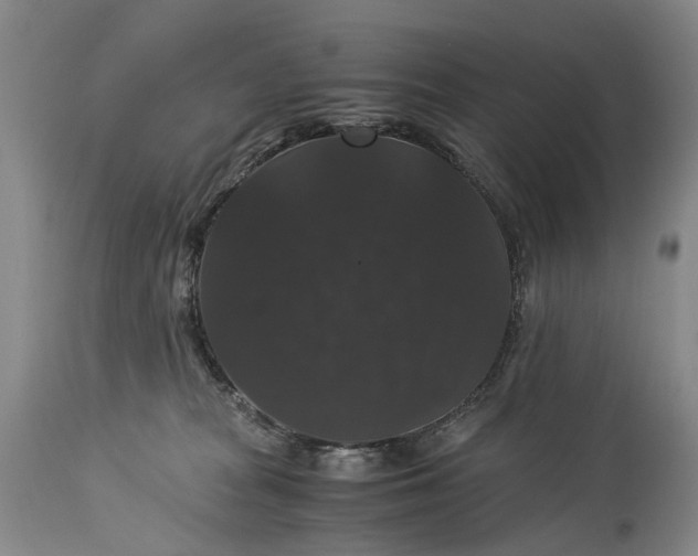 X0000115340277200911161839