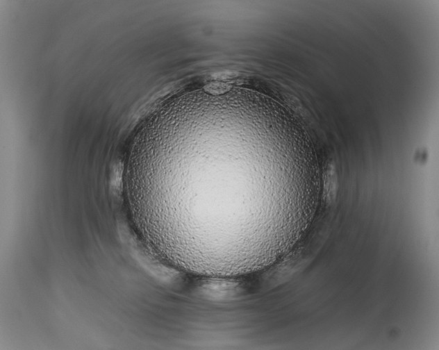 X0000115340278200911161839