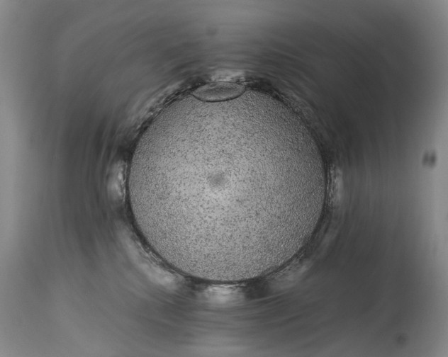 X0000115340280200911161839