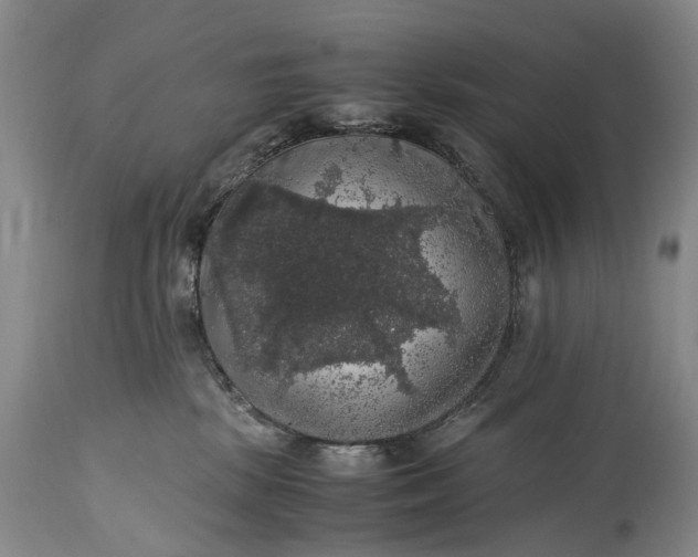 X0000115340281200911161839
