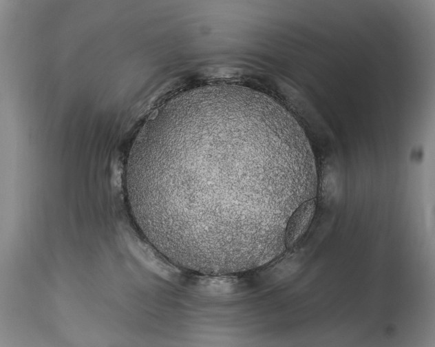 X0000115340282200911161839