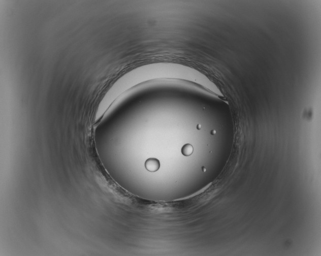 X0000115340284200911161839
