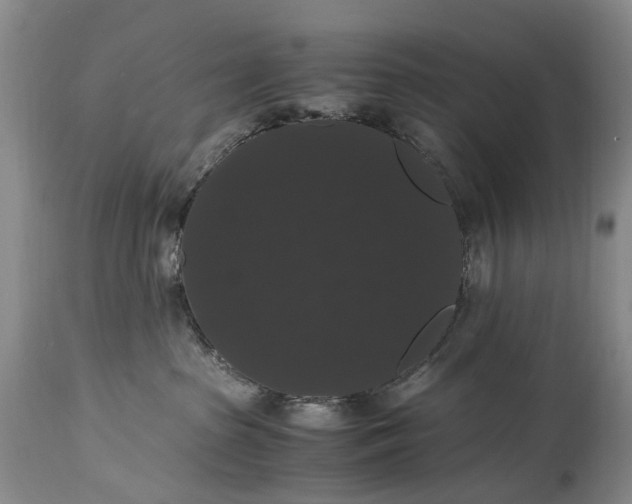 X0000115340285200911161839