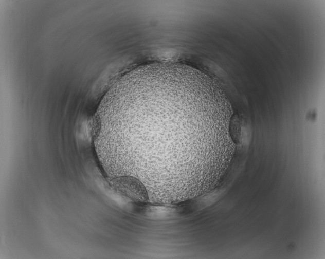 X0000115340286200911161839