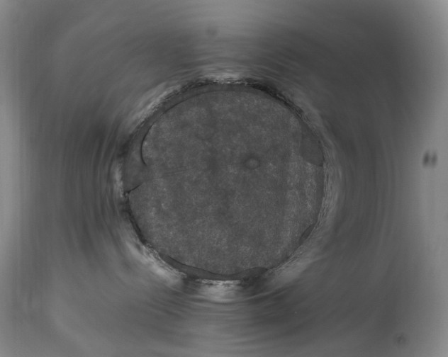 X0000115340288200911161839