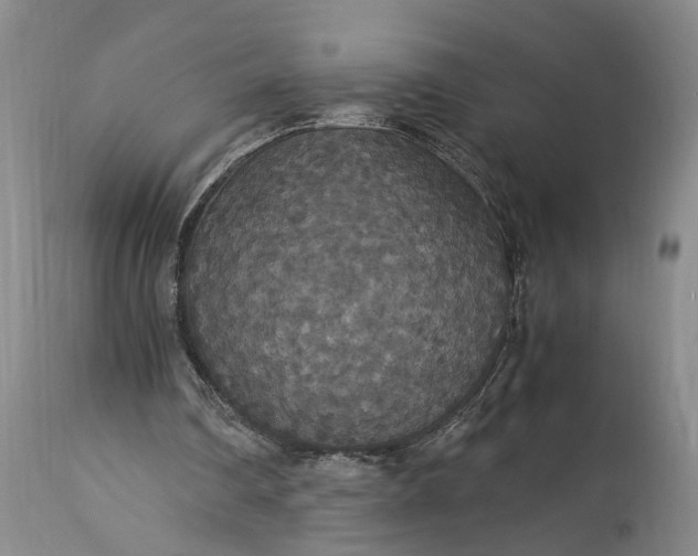 X0000115340290200911161839