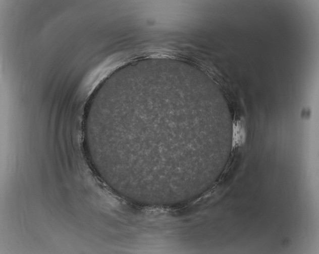 X0000115340291200911161839