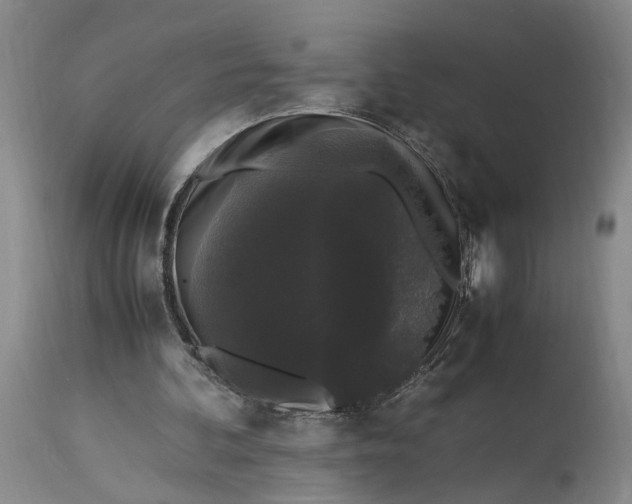 X0000115340292200911161839