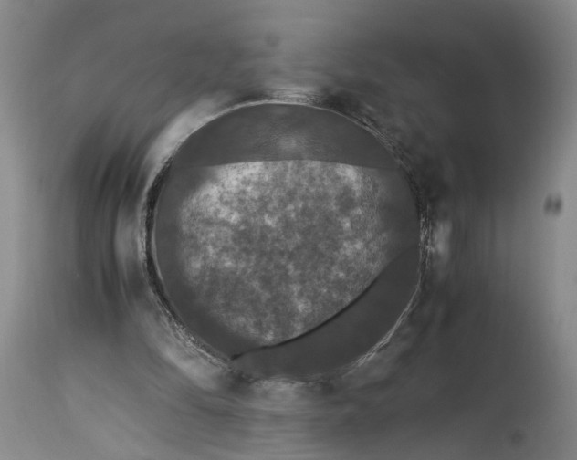 X0000115340294200911161838