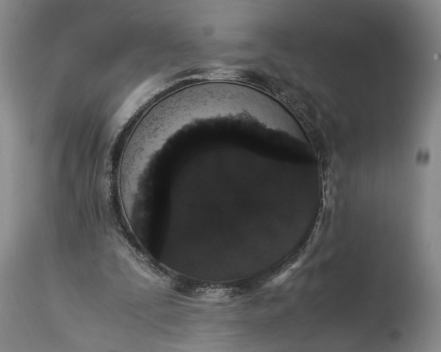 X0000115340295200911161838