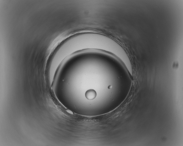 X0000115340296200911161838
