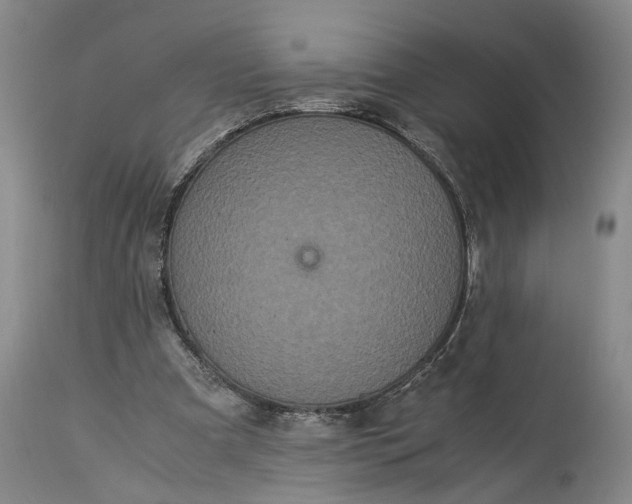 X0000115340297200911161838